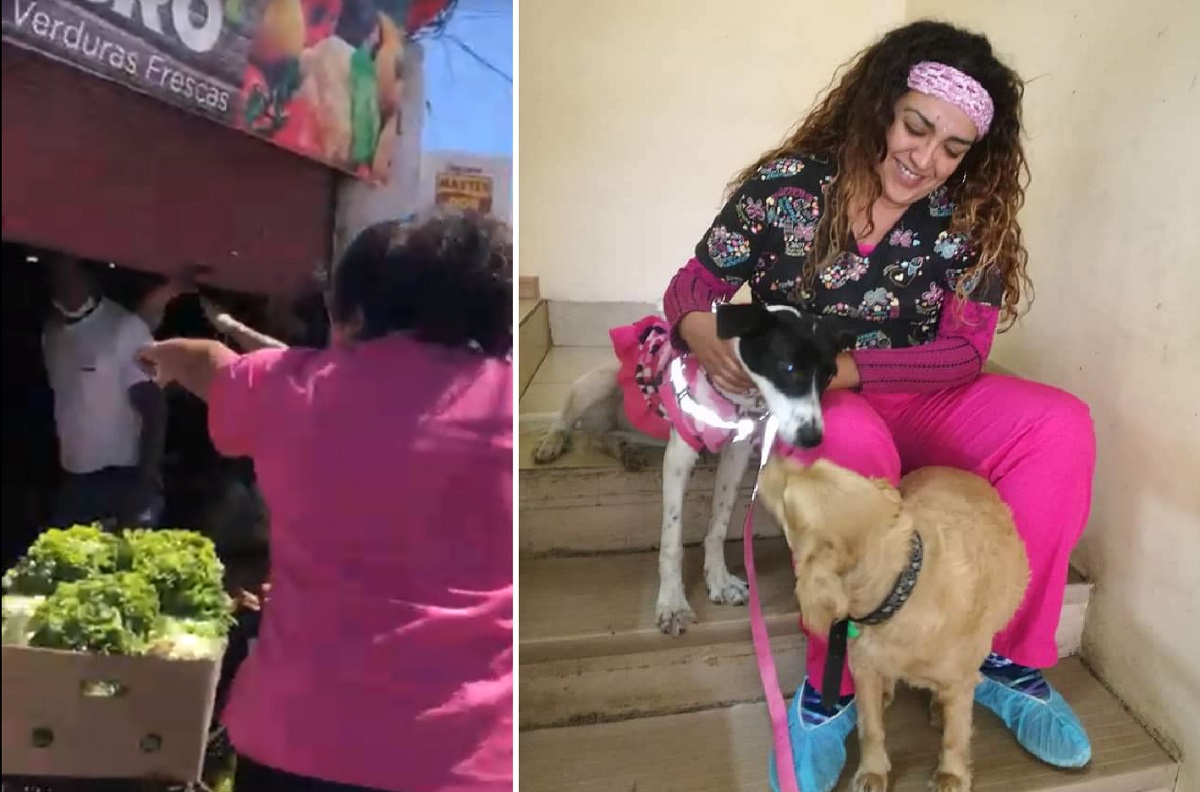 Video Veterinaria Recibió Cuchillazo Por Increpar A Hombre Que Maltrataba Perros En Valparaíso 2001