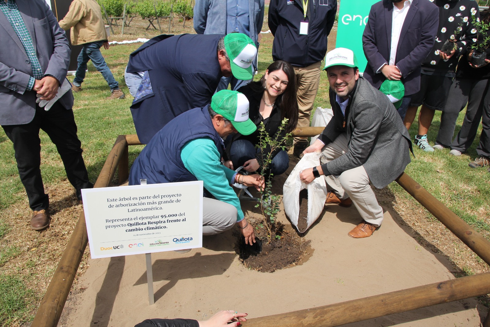 Proyecto Quillota Respira plantó árbol número 95 mil