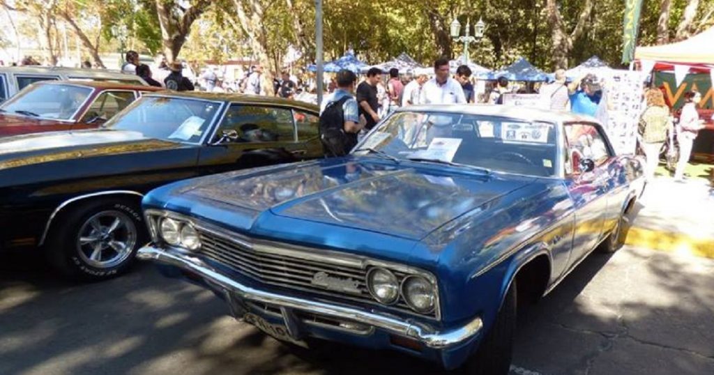 Autos clásicos en el Jardín Botánico