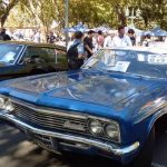 Autos clásicos en el Jardín Botánico