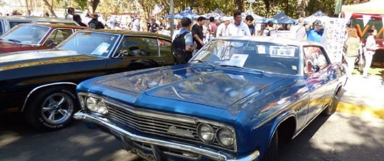 Autos clásicos en el Jardín Botánico