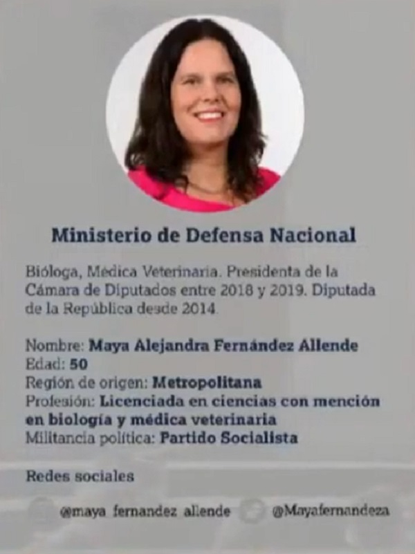 Ministra Defensa Maya Fernandez El Observador