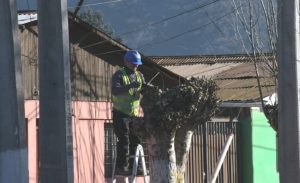 Poda de árboles en La Calera 18 de julio de 2022