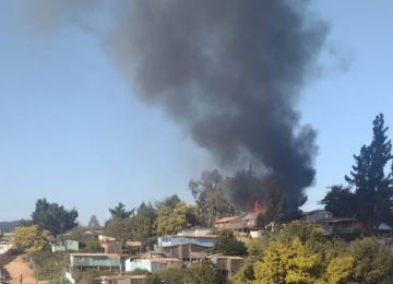 incendio en sector forestal alto en viña del mar 28 de julio de 2022