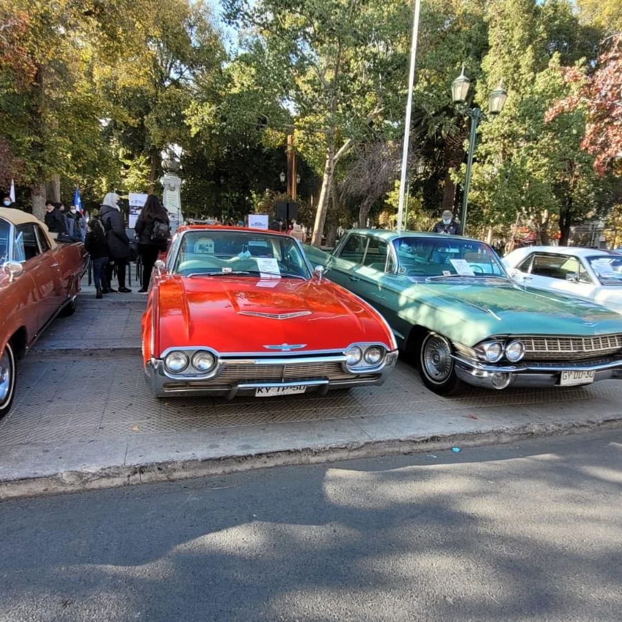 Gran exposición de autos clásicos llegará a Putaendo