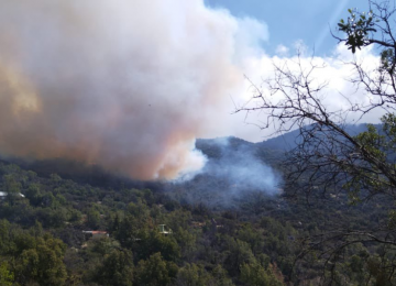 Cierran el tránsito por la Cuesta La Dormida en Olmué por incendio forestal