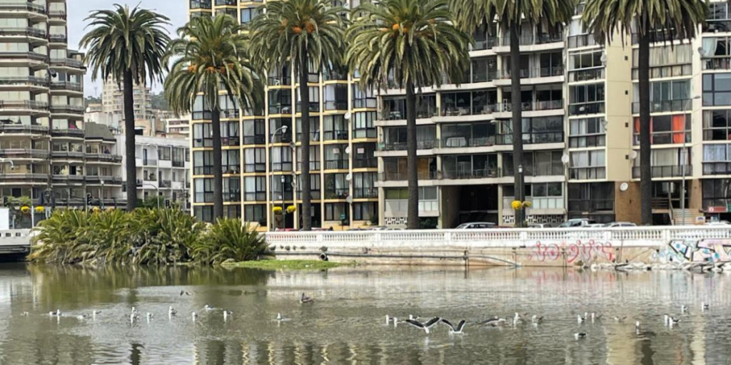 Viña: Cierran Playa Casino por derrame de aguas servidas