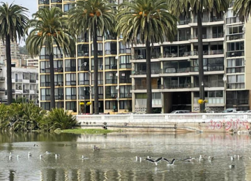 Viña: Cierran Playa Casino por derrame de aguas servidas