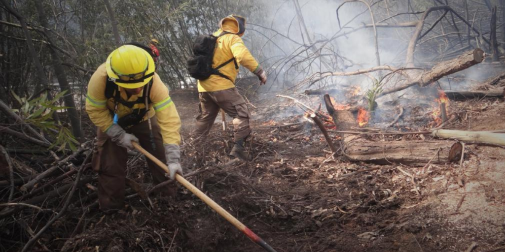 Cancelan alerta temprana preventiva por amenaza de incendios forestales en la región