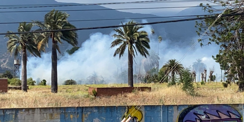 Cierran ruta F100G por incendio forestal en Olmué