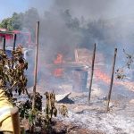 Controlan incendio forestal que avanzó y dañó una bodega y vehículo en La Cruz