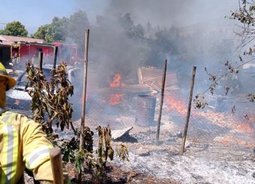 Controlan incendio forestal que avanzó y dañó una bodega y vehículo en La Cruz