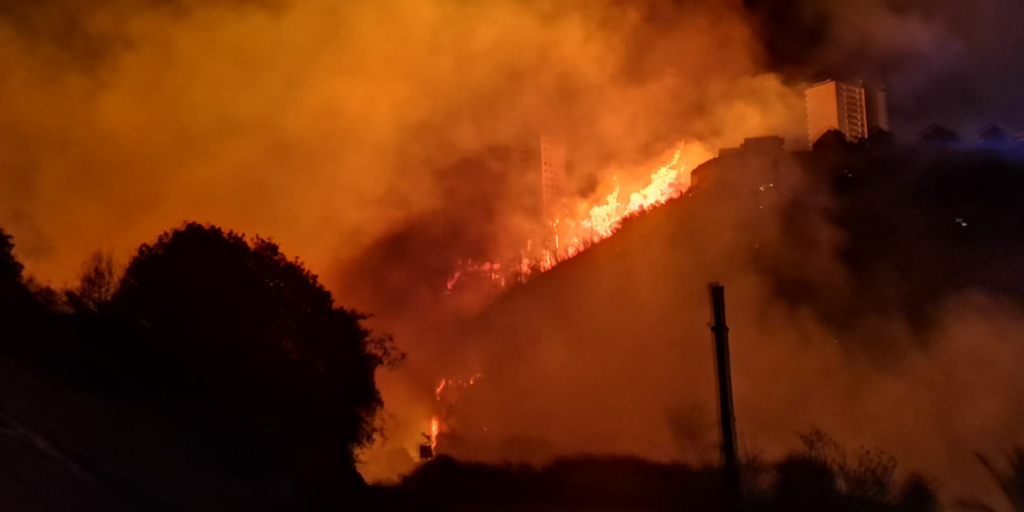 Incendio en Viña del Mar ha dañado más de 200 casas y 110 hectáreas