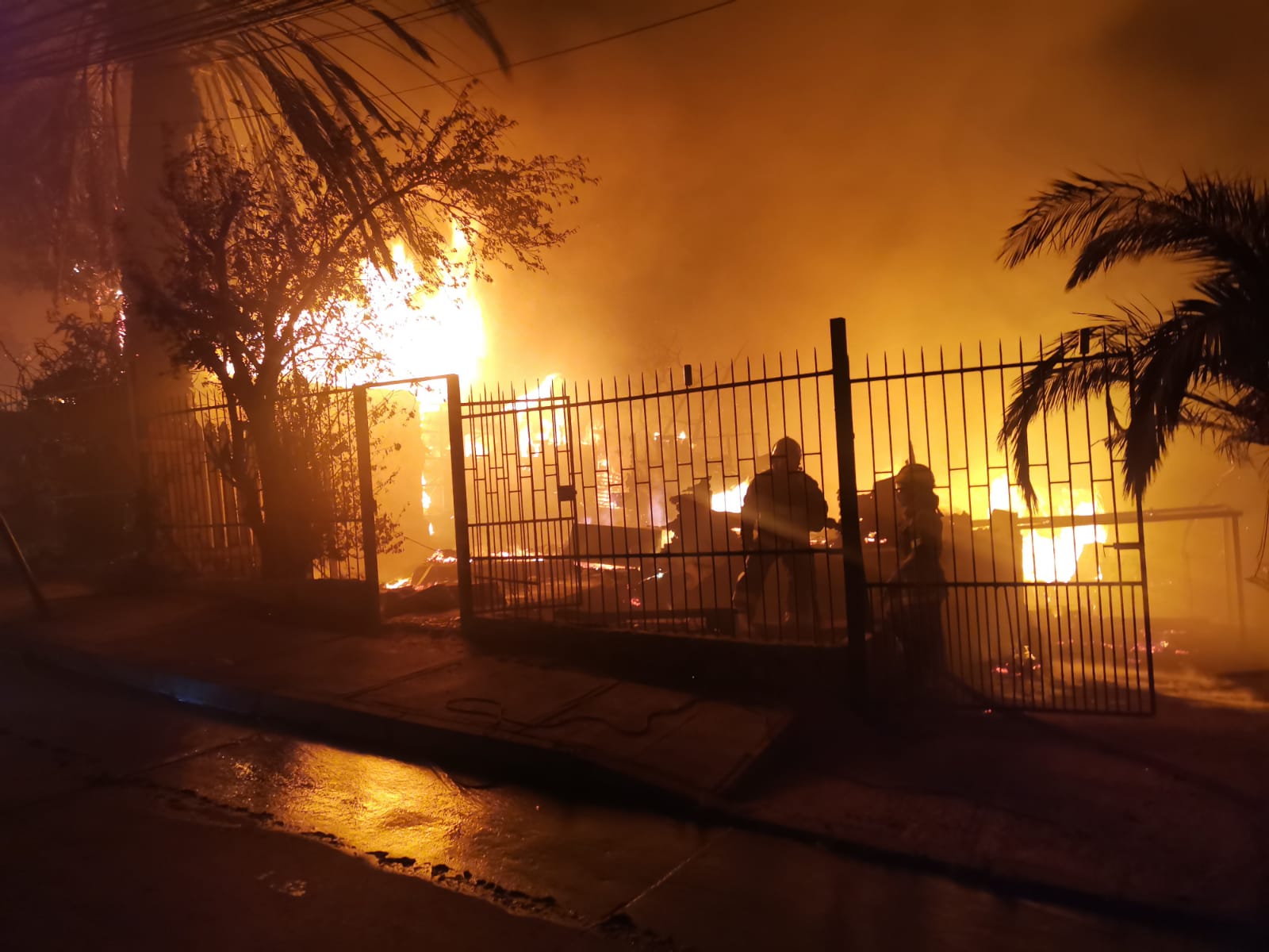 Incendio en Viña del Mar ha dañado más de 200 casas y 110 hectáreas