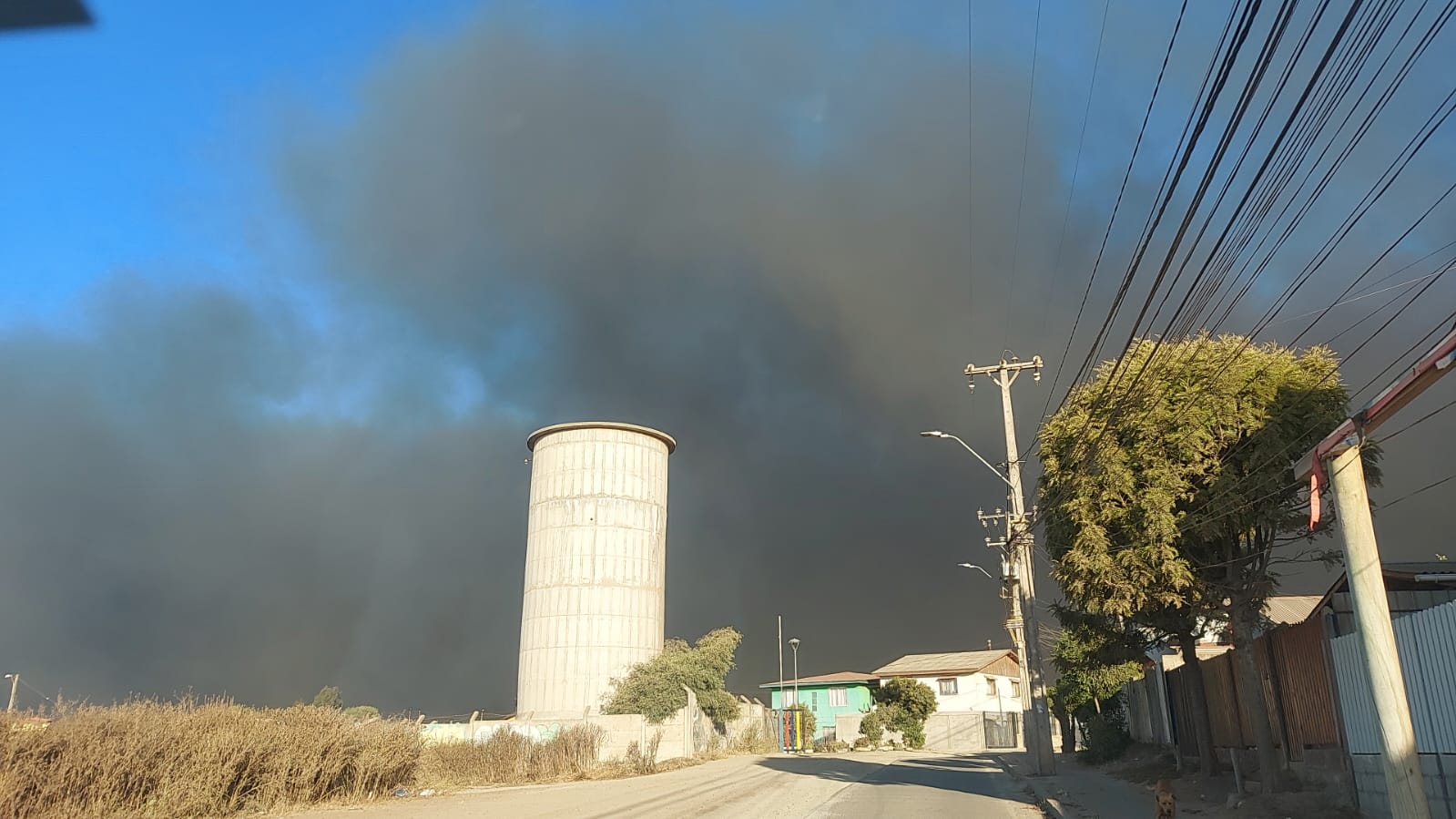 Incendio industrial afecta a Puerto Ventanas en Puchuncaví