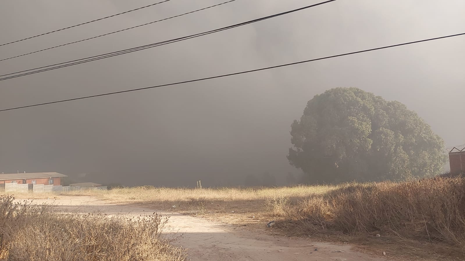 Incendio industrial afecta a Puerto Ventanas en Puchuncaví