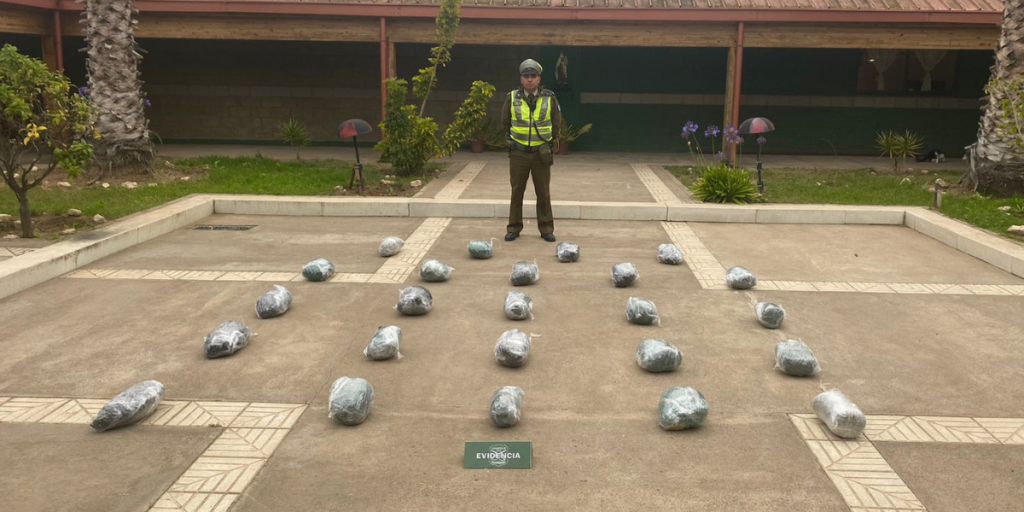 Control carretero en la ruta 5 norte permitió incautar 24 kilos de marihuana