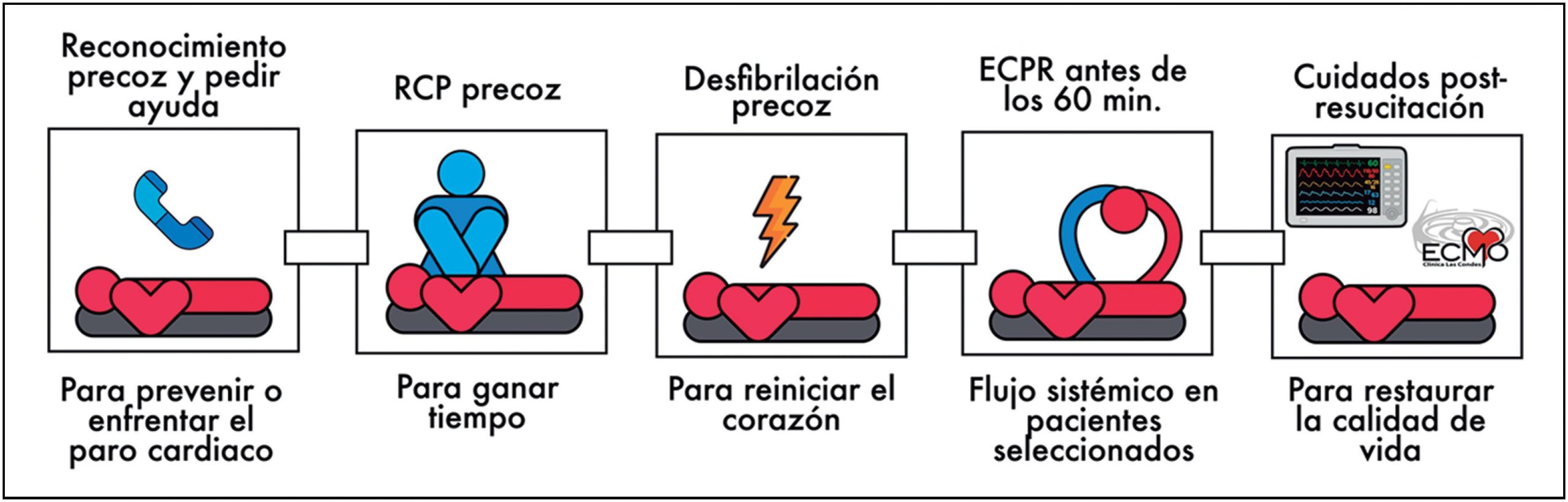 Reanimación Cardiopulmonar Y Maniobra De Heimlich La Importancia De Actuar A Tiempo 2 El 6487