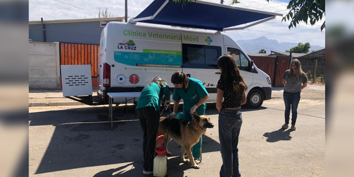 Baños sanitarios para perros en La Cruz: fechas y lugares