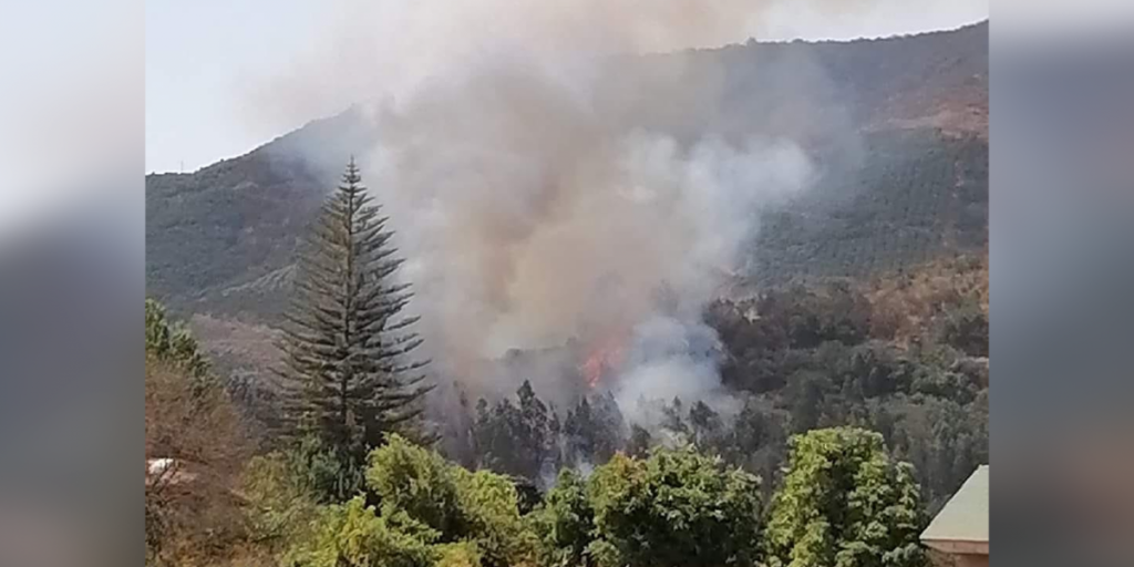 Incendio forestal afecta a Pocochay en La Cruz