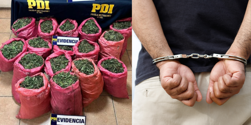 Detienen a hombre tras incautación de 131 kilos de marihuana en Cabildo