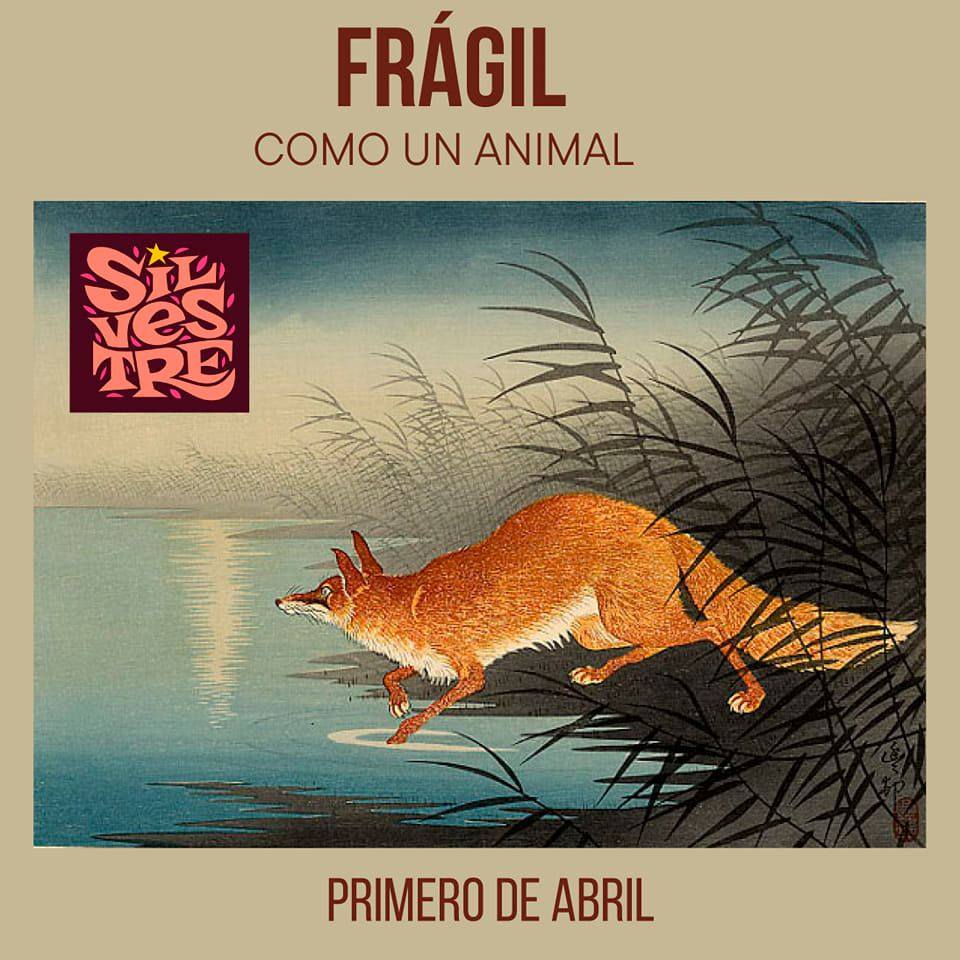 Frágil como un animal, sencillo de Silvestre