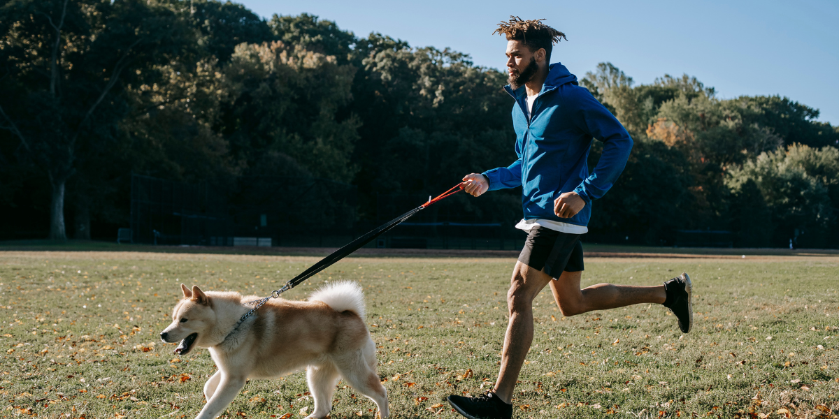 Petorca: Este fin de semana se realizará Corrida Familiar “Perro Running”