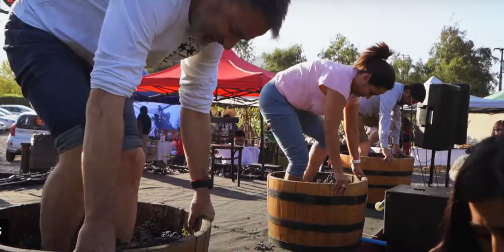 Viña El Escorial realizará Fiesta de la Vendimia con feria típica y tradicional “pisada de uva”