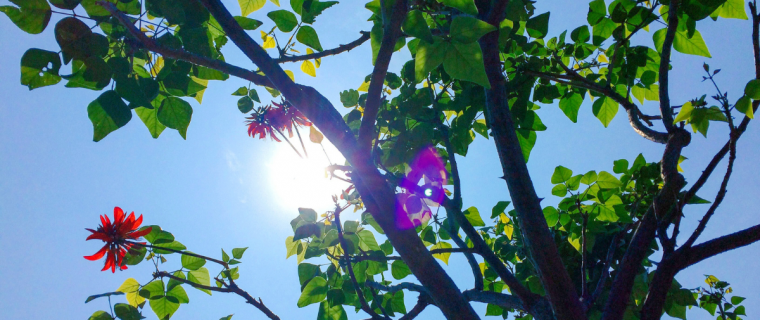 Hasta el sábado se extendería ola de calor que afecta a la zona central