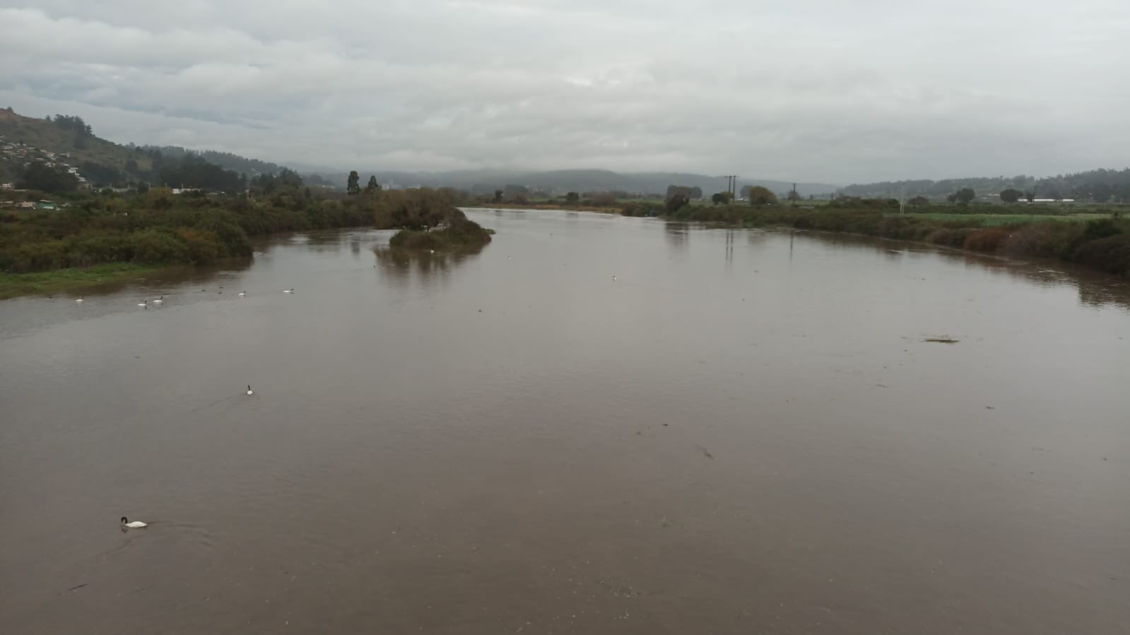 Turbiedad en el río Maipo tiene con alerta amarilla a la provincia de San Antonio.