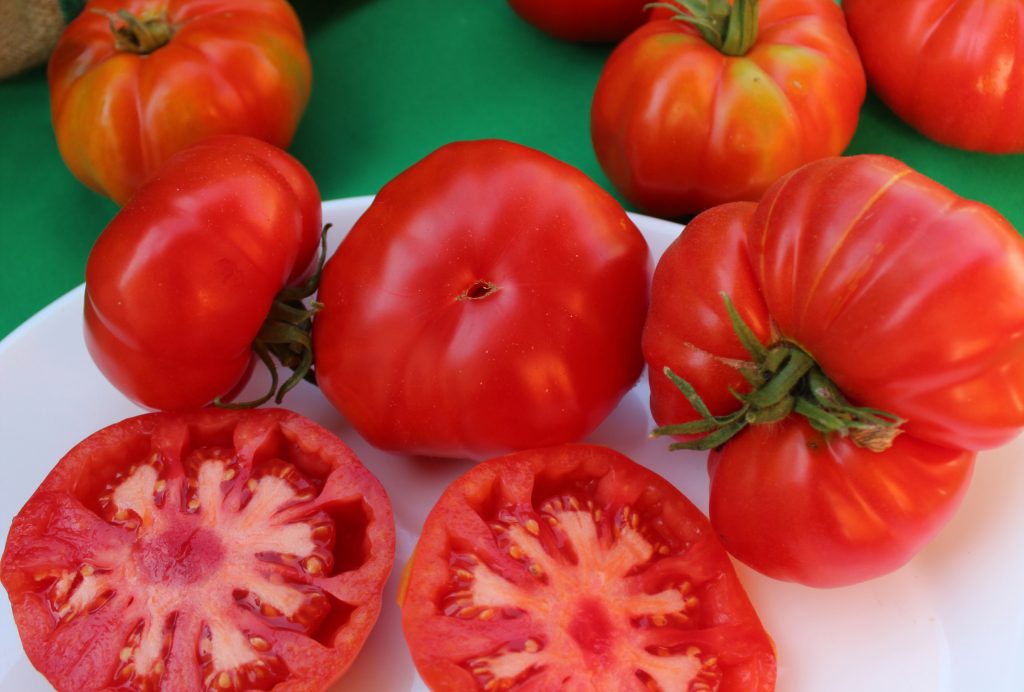 Pancho Saavedra grabó Lugares que hablan con agricultores de tomates limachinos