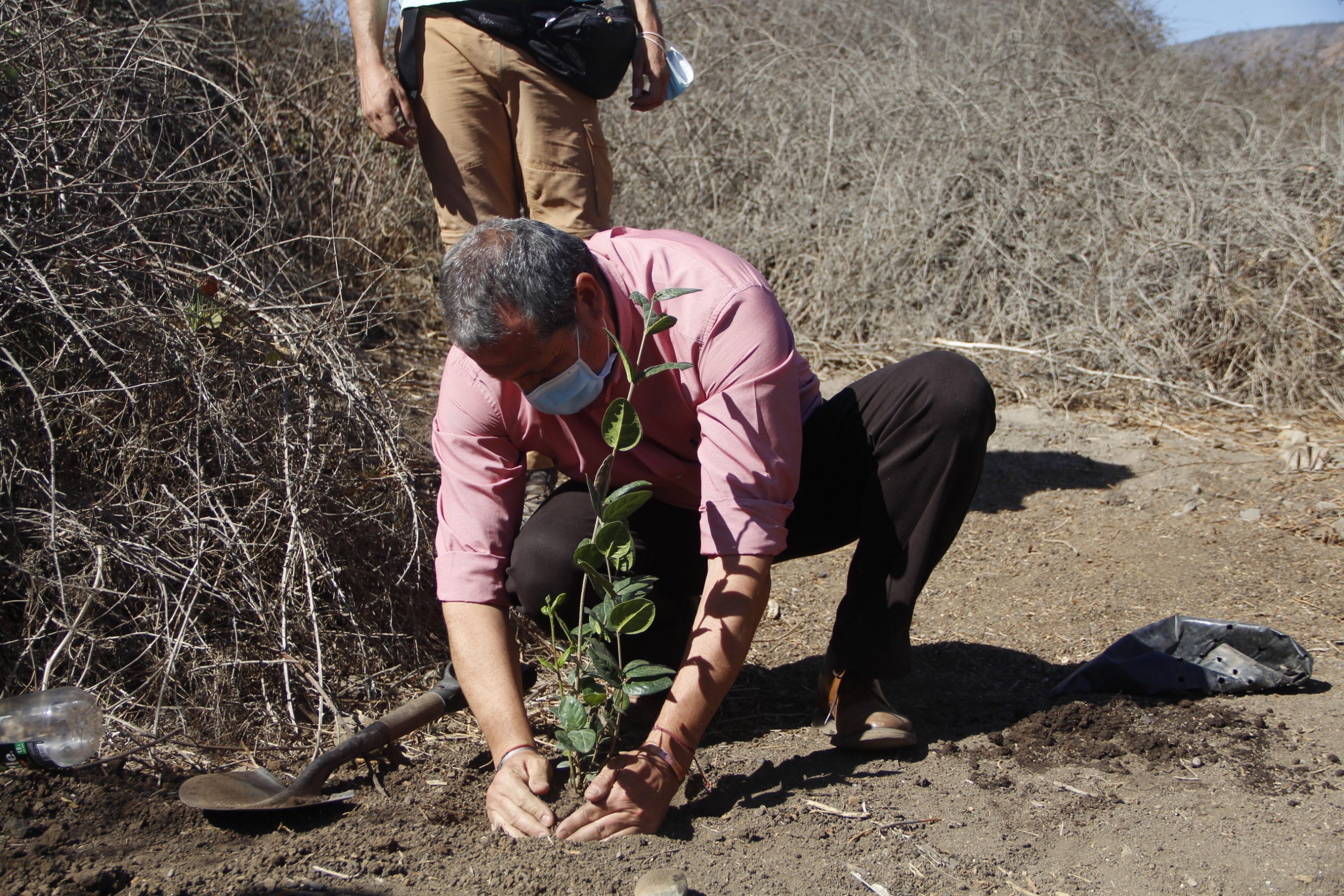 Quillota Entregan expediente para protección oficial de “Humedal Urbano Las Galegas”