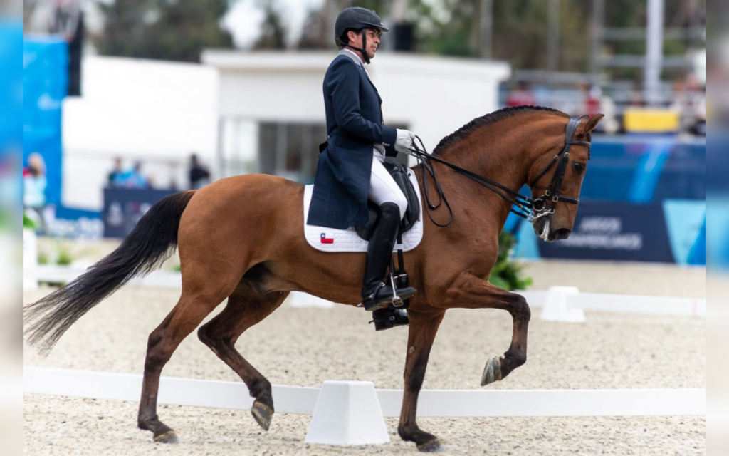 Panamericanos en Quillota: 8 tips para ir a ver Salto ecuestre y Evento completo