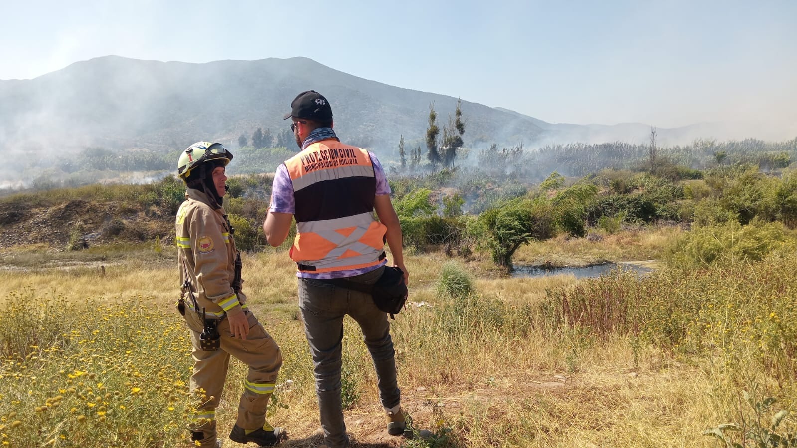 Incendios en pastizales en Quillota