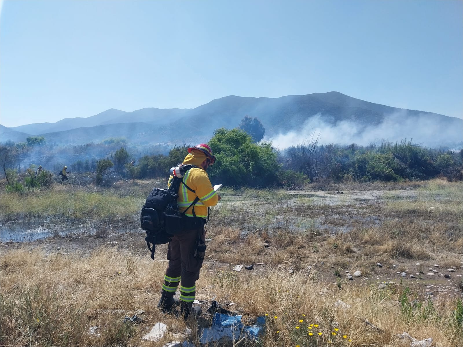 Quillota: Indagan participación de terceros en 10 incendios ocurridos en una semana