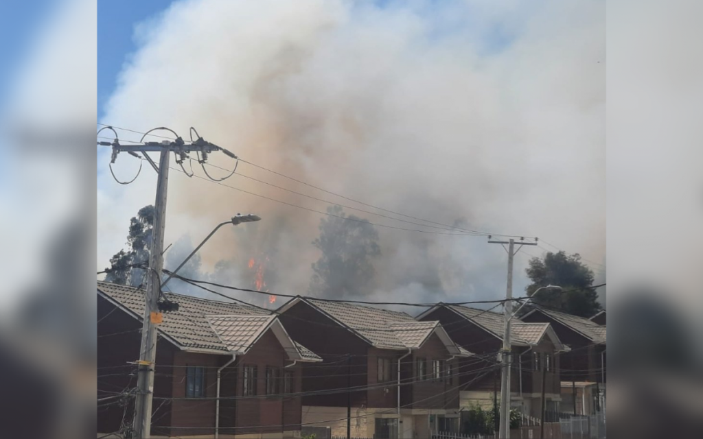 Alerta Roja en Villa Alemana por incendio forestal