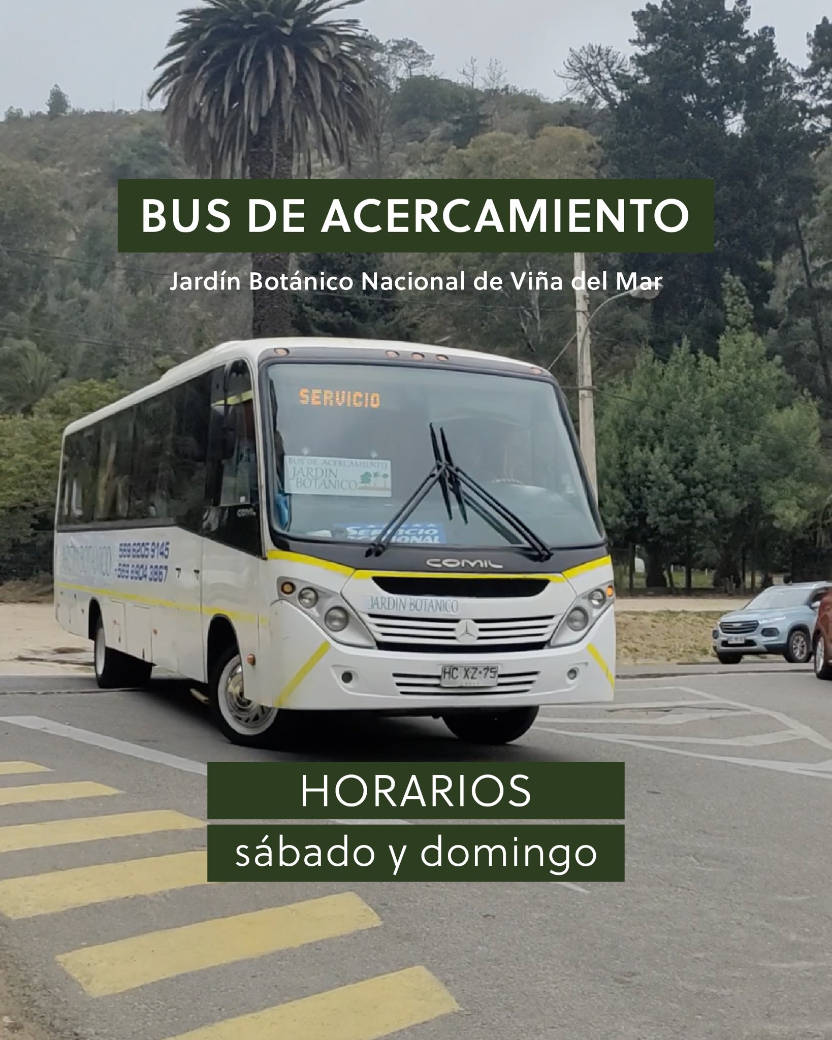 Bus de acercamiento Jardín Botánico de Viña del Mar