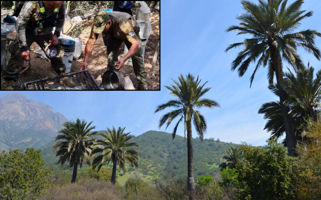 Descubrieron a personas haciendo fuego ilegal en el Parque Nacional La Campana