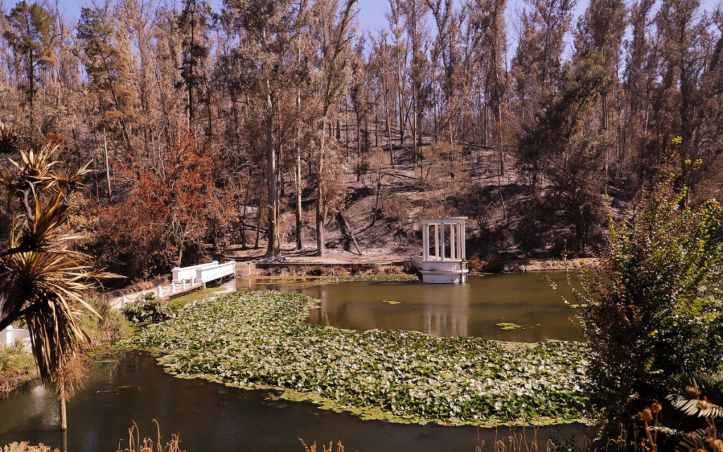 Jardín Botánico de Viña prepara evento solidario con Inti-Illimani