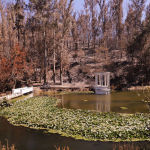 Jardín Botánico de Viña prepara evento solidario con Inti-Illimani