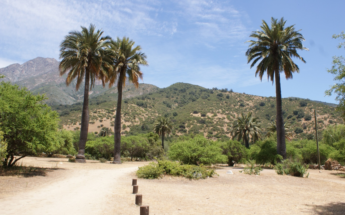 Parque Nacional La Campana abrirá gratis en el Día del Deporte