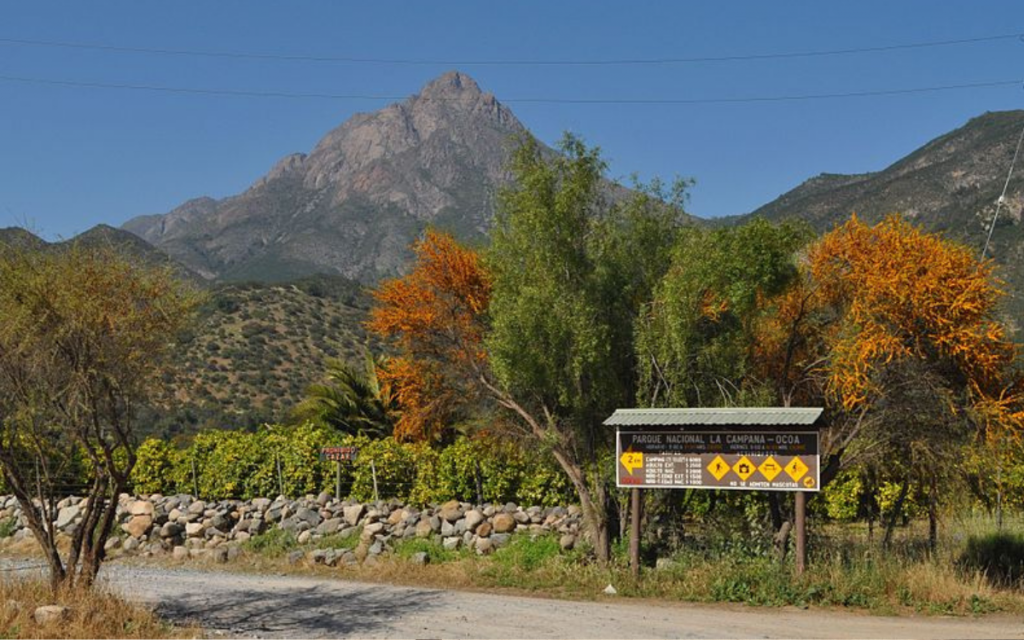 Parque Nacional La Campana abrirá gratis en el Día del Deporte