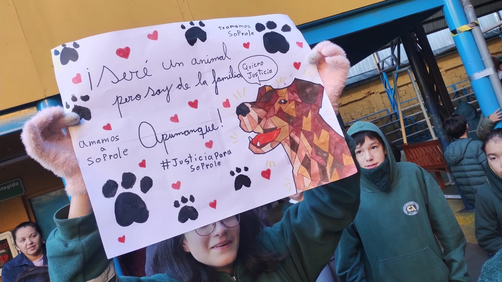 La increíble historia de Soprole, el querido perrito del Colegio Apumanque de La Calera