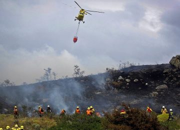 Conaf incendios