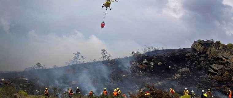 Conaf incendios