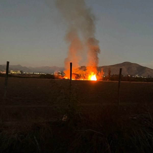 Incendio forestal puso en riesgo el Humedal Urbano de El Litre, entre La Calera y Nogales