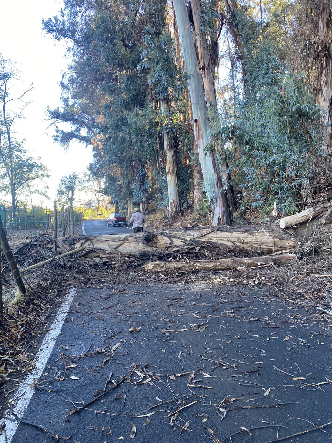 Lluvia récord de 50 milímetros hizo colapsar a La Calera, Hijuelas y Nogales