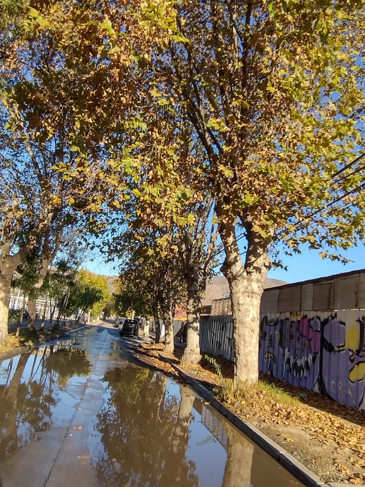 Lluvias Vecinos de La Calera llevan más de un día sin luz