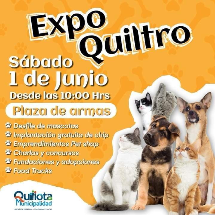 Quillota realizará Expo Quiltro