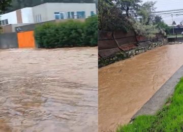 Limache lluvias y asilados